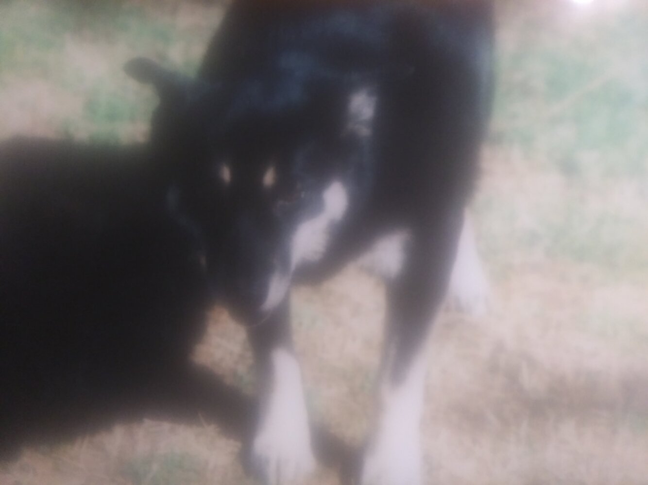 20200827_184722.jpg