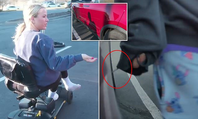 Distraught disabled woman is latest victim of Tesla attacks that have left her with huge