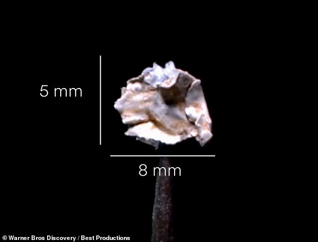 'Most Al [aluminum] in use are anodized Al,' Dr Hossain noted, a process that creates a thin layer of aluminum, reacted with oxygen, to seal off the interior aluminum from rust-like degradation caused by reactions with the air. This sample, he said, had 'not been anodized'