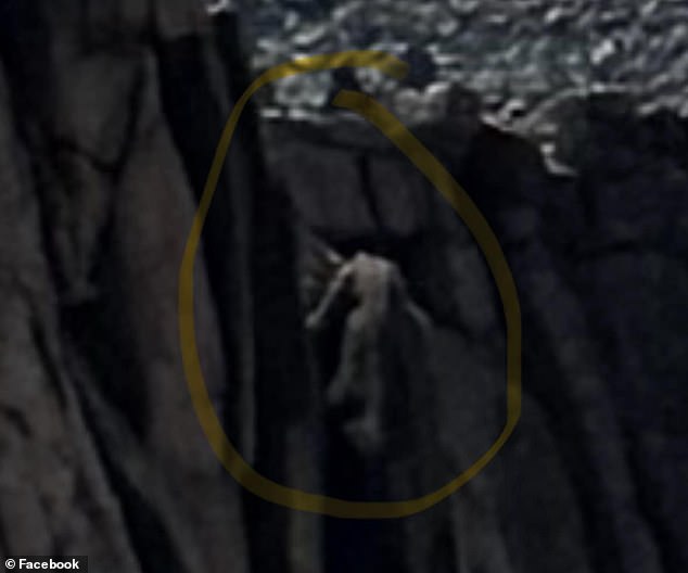 Two hikers have been left stunned after encountering a frightening 20-foot-tall figure clinging to the side of a Colorado mountain (a zoom on the specimen is pictured)