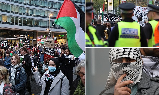 'I don't give a f*** about the Jewish community right now': Pro-Palestine protestor says