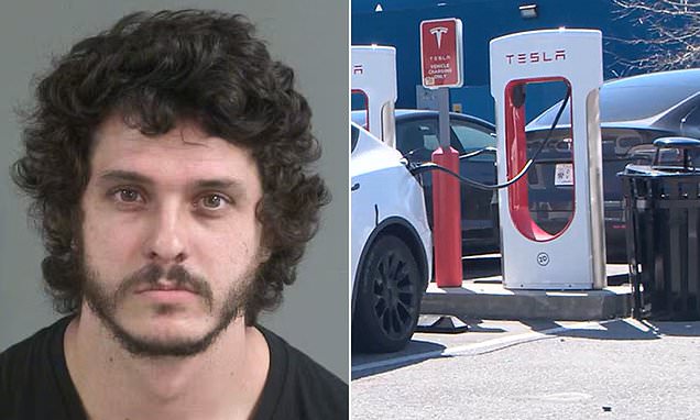 Woke activist's attempt to torch Tesla charges ends in painful agony
