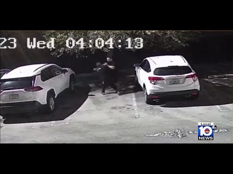 www.local10.com