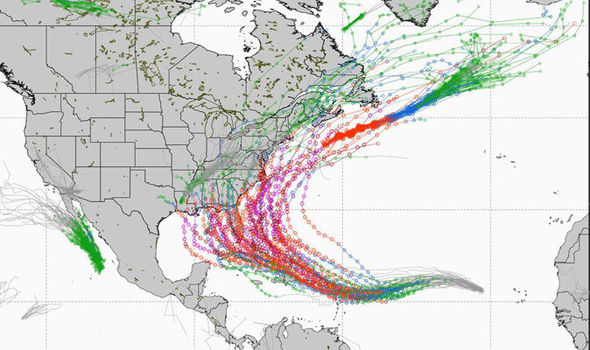 Hurricane-Irma-848456.jpg