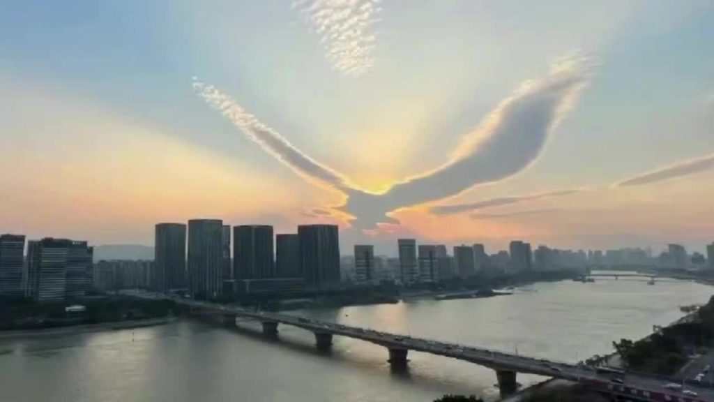 cloud-resembling-bird-1-1024x576.jpg
