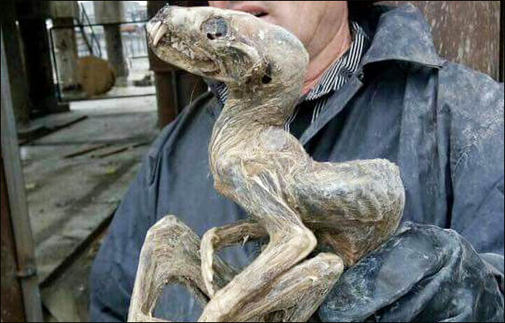 siberia-mummified-monster.jpg