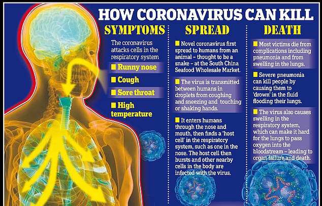 23776006-7919851-Experts_say_the_difficulty_of_containing_the_coronavirus_is_that-a-32_1579801663042.jpg