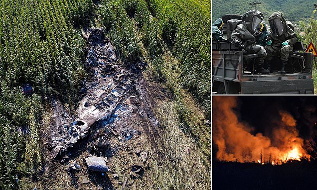 Ukrainian cargo plane which crashed in Greece was carrying 11 TONS of mortar and land