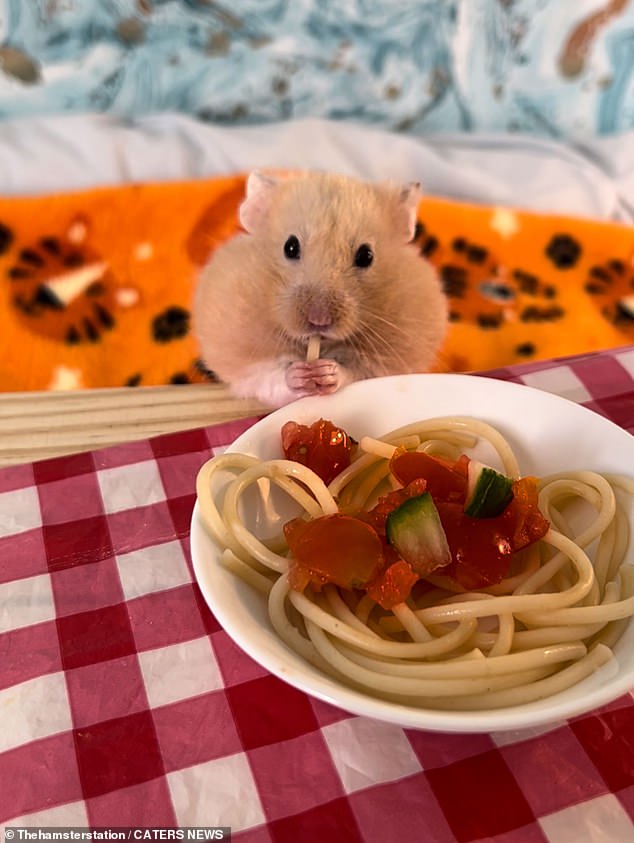 Anton said that it's 'very rare' he cooks something for Mr Marshmallow that the more mature hamster did not like