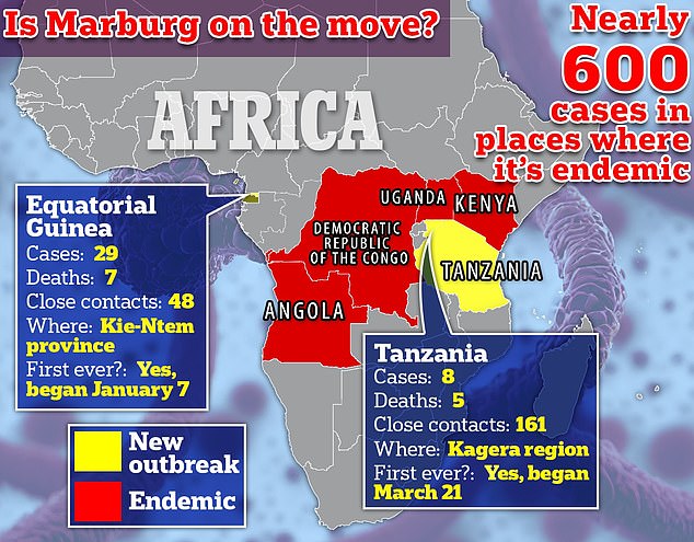 Marburg has infected 29 in Equatorial Guinea and eight in Tanzania, according to the World Health Organization