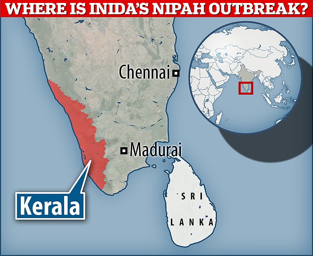 India is currently experiencing an outbreak of Nipah virus in the southern state of Kerala, the fourth since 2018