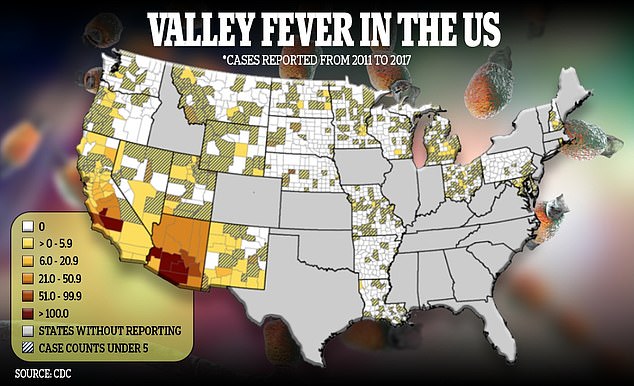 The fungus that causes Valley fever thrives in hot, dry environments