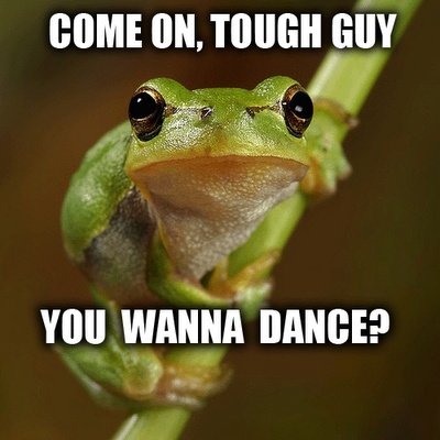 b58190cc5ece2c68165a0baa8ee57b7a--funny-quotes-about-funny-frogs.jpg