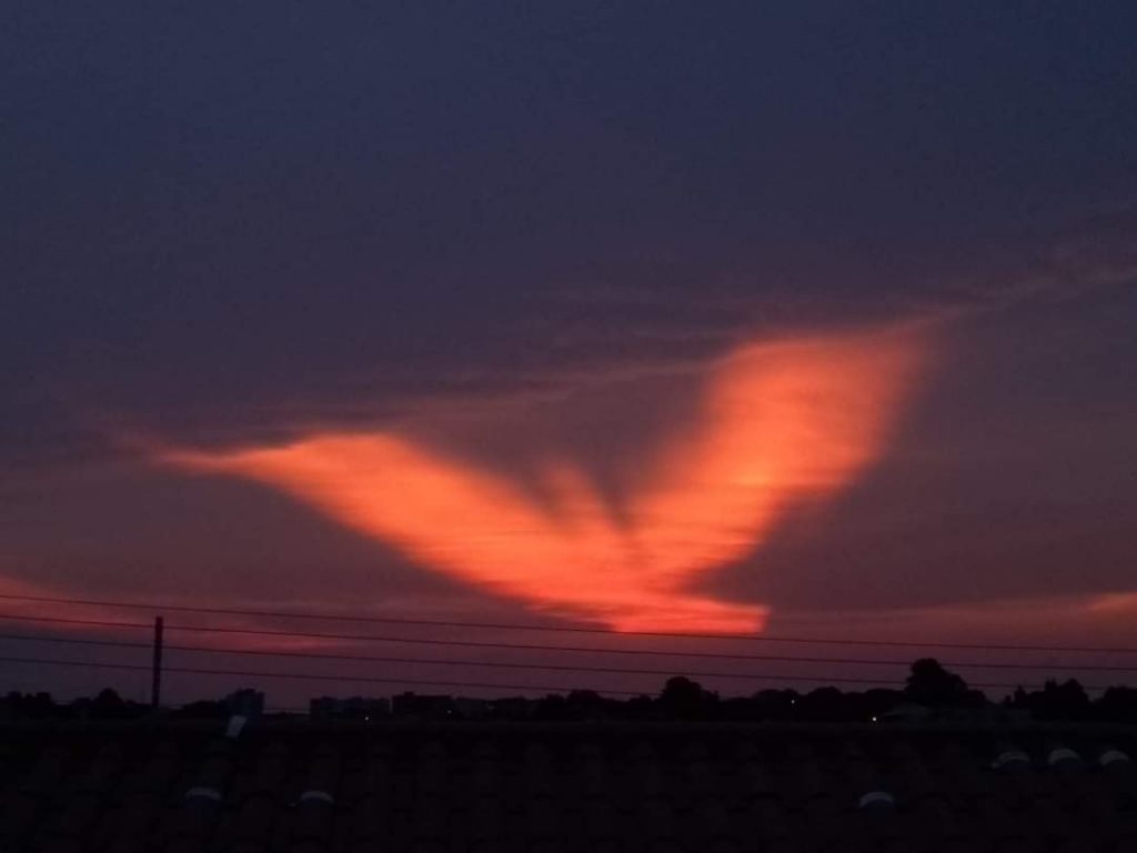 glowing-red-bird-phoenix-sunset-brazil-halloween-1-1024x768.jpg