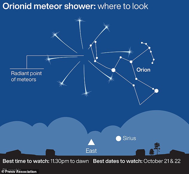 orionid-meteor-shower-october-2020.jpg