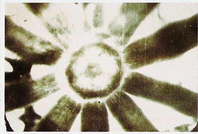 scan0117.jpg