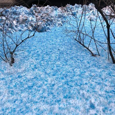 0x0-blue-snow-shocks-russias-st-petersburg-residents-1514366618539.jpg