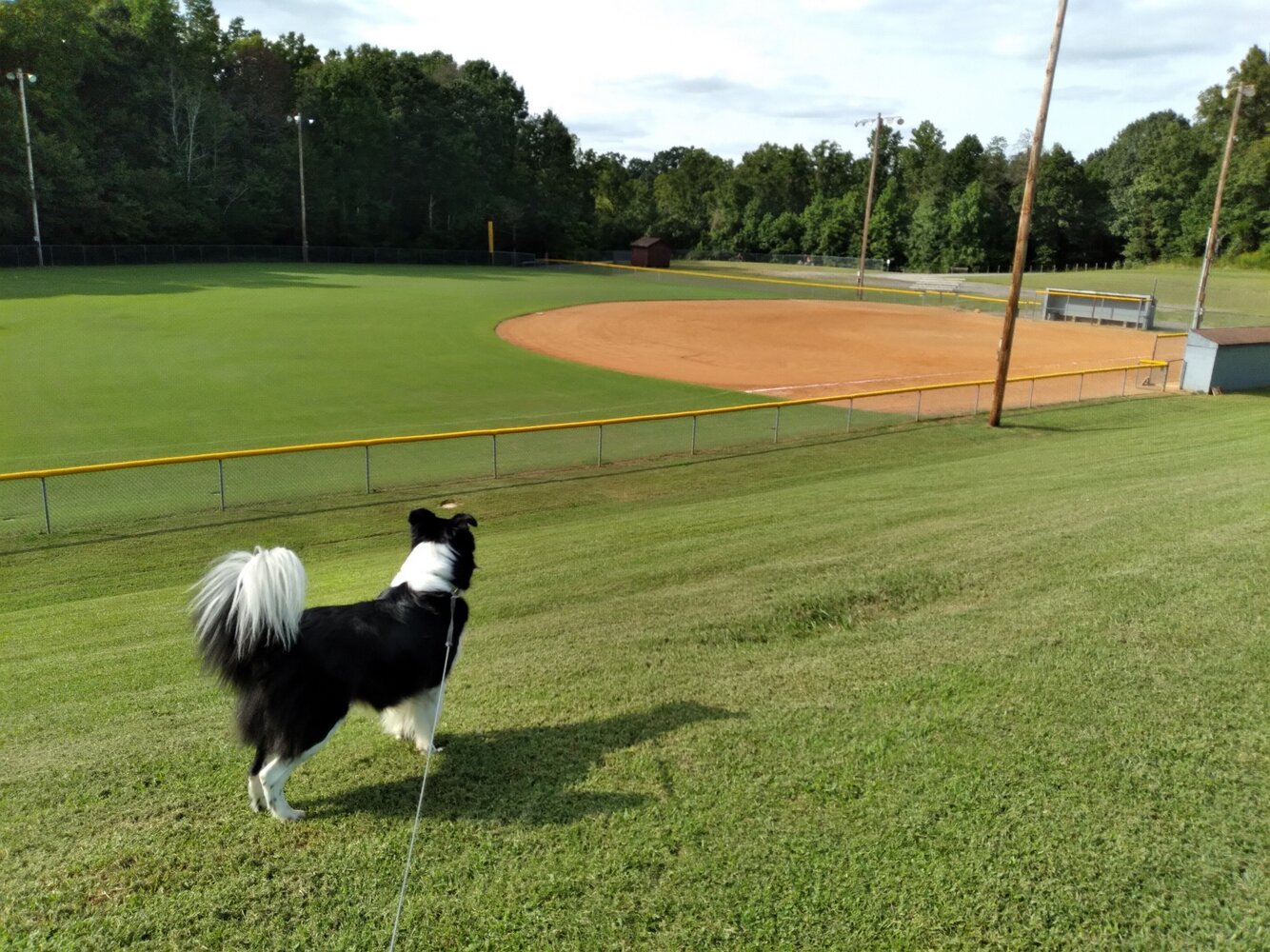 Resized_Resized_20200915_162925.jpeg