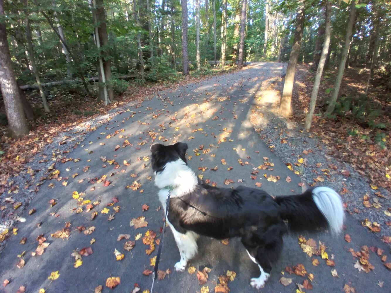 20201007_172251.jpg