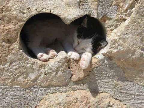 ancient bore holes kitty.jpg