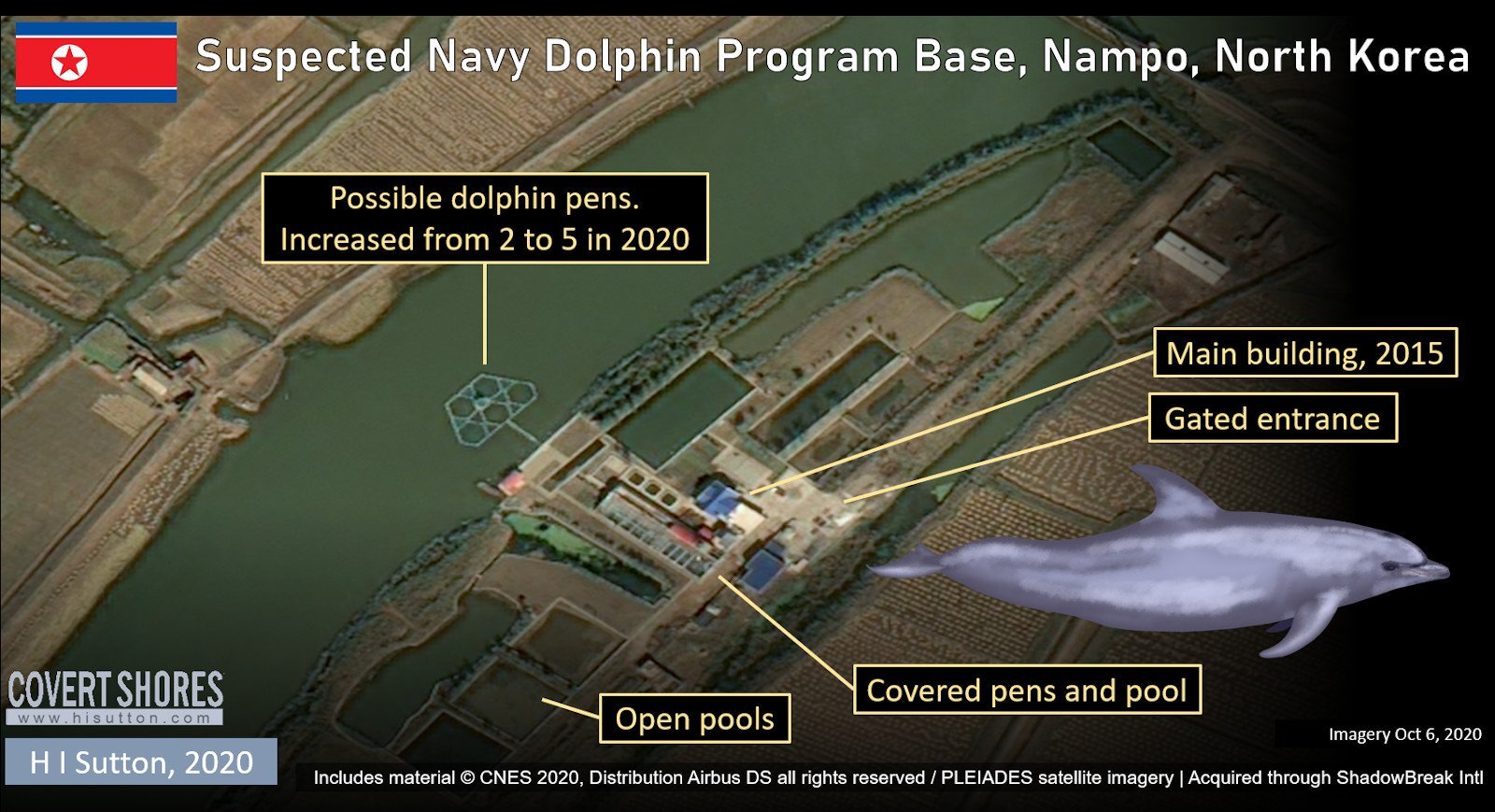 North-Korea-Navy-Dolphins.jpg