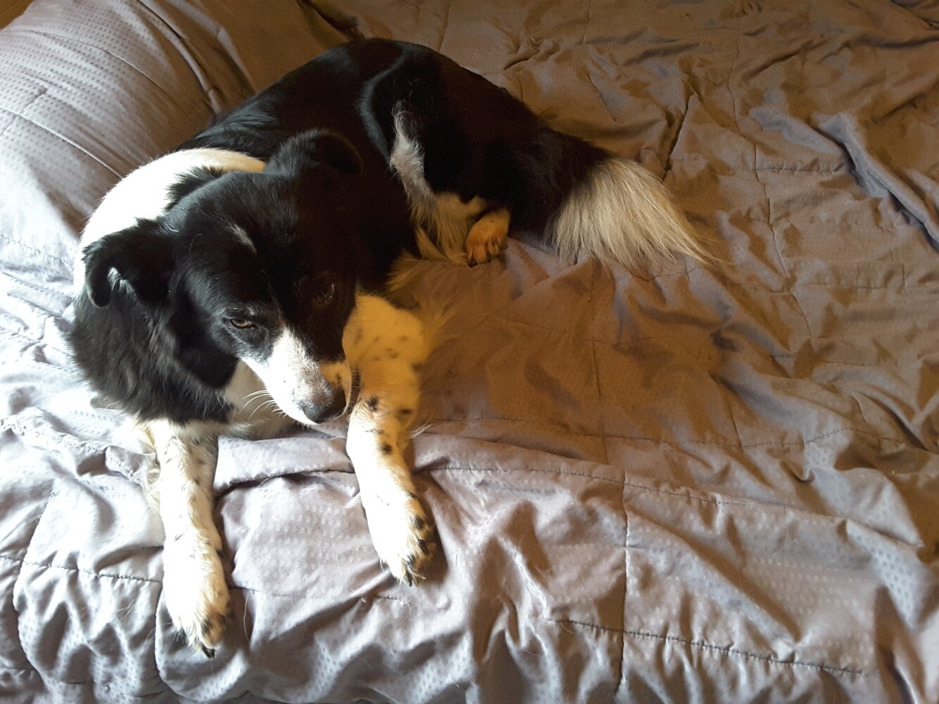 20201126_120805.jpg