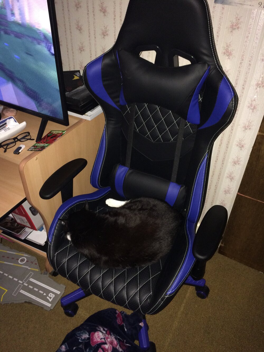 kitty gaming chair.JPG