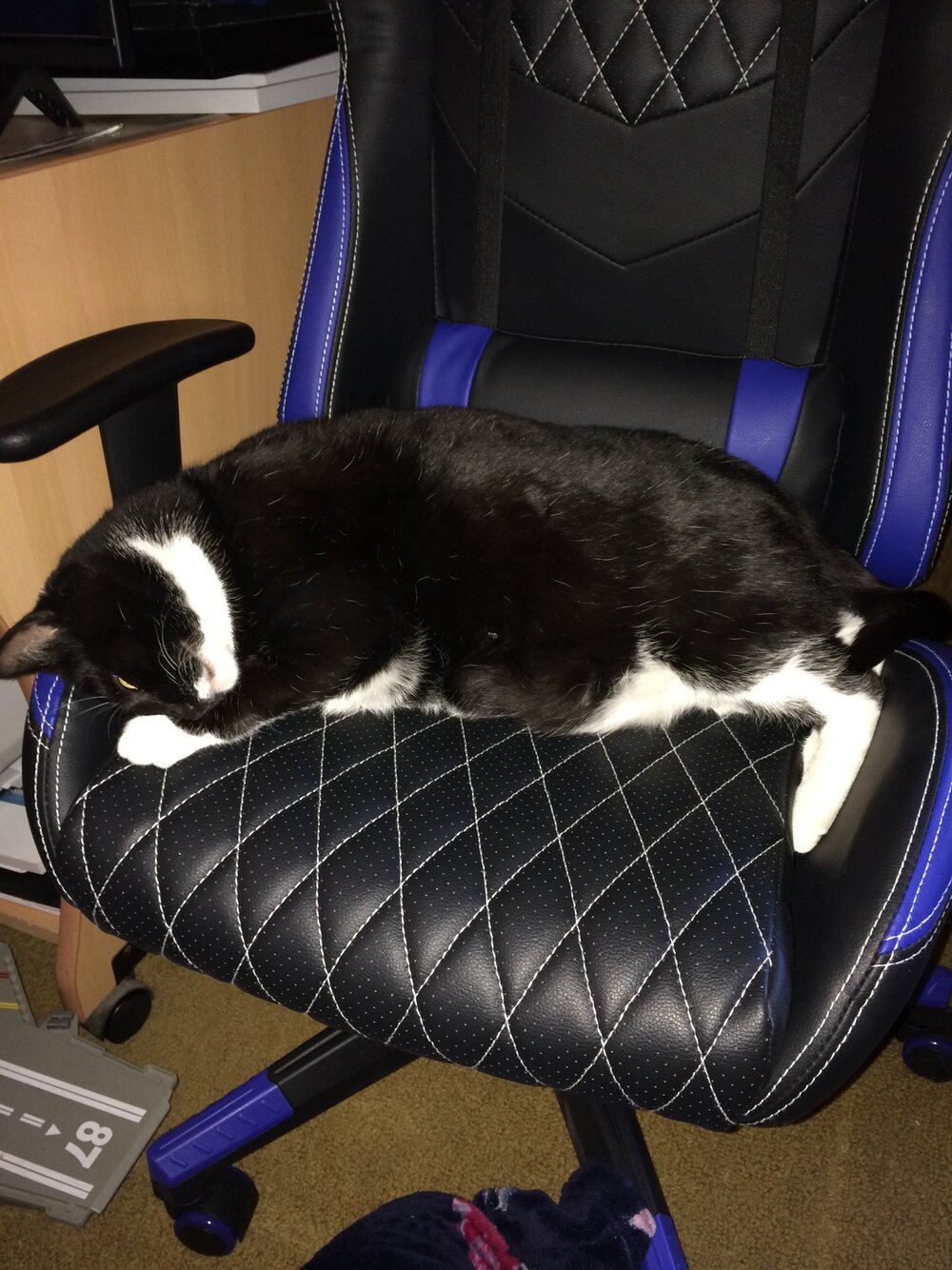 kitty gaming chair 1.JPG
