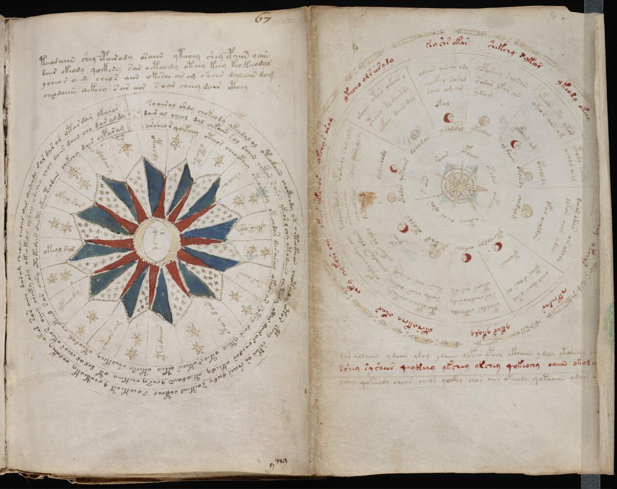 image_1195_1e-voynich-manuscript.jpg
