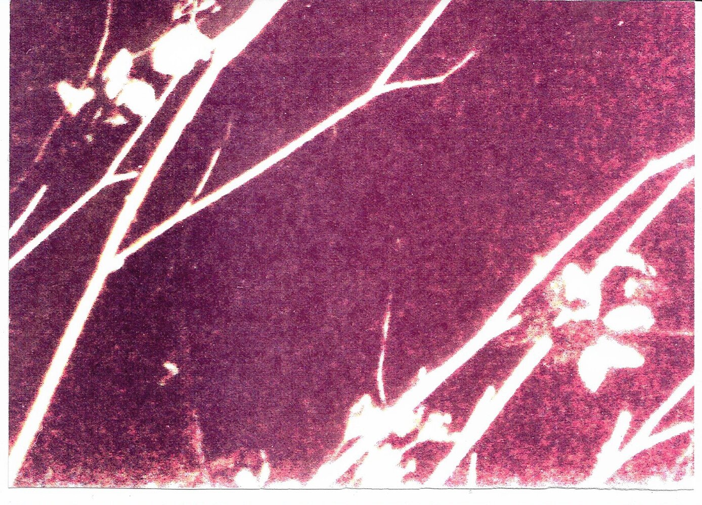 ufo 3.jpg