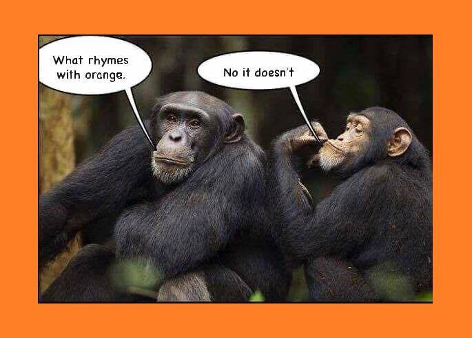 Alanm_279_Monkey.jpg