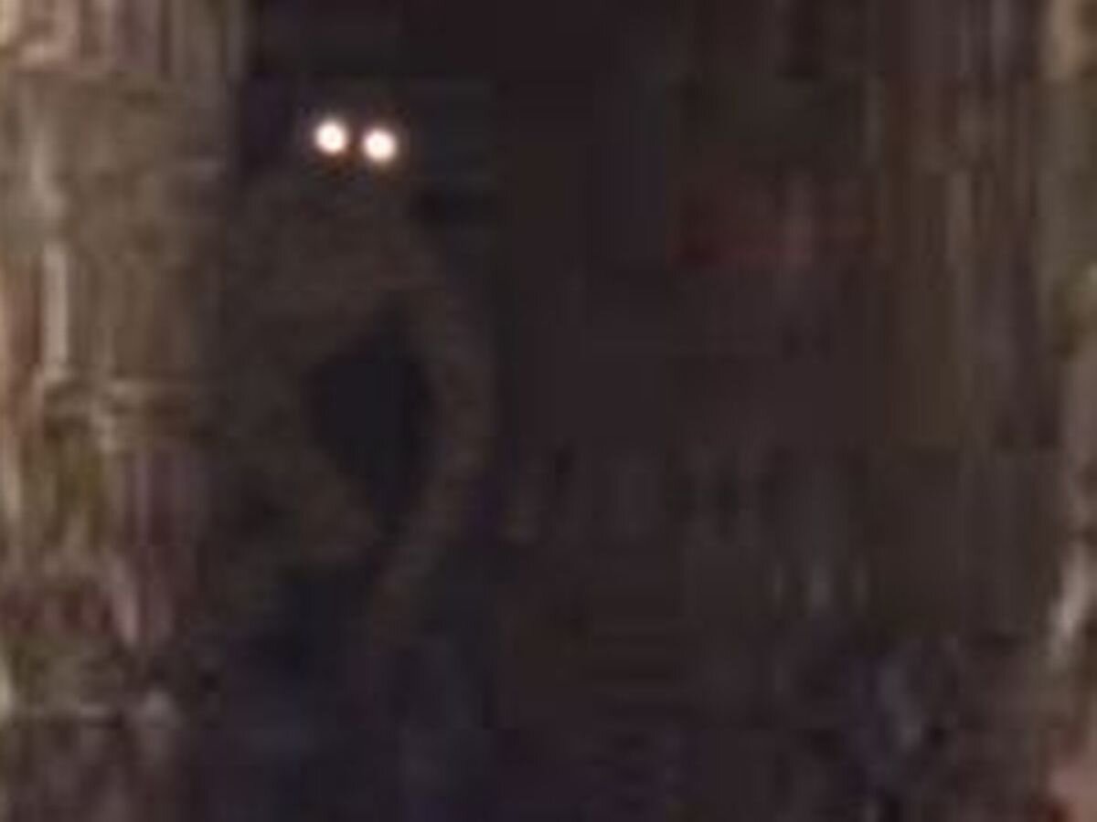 monster-300-127647212.jpg
