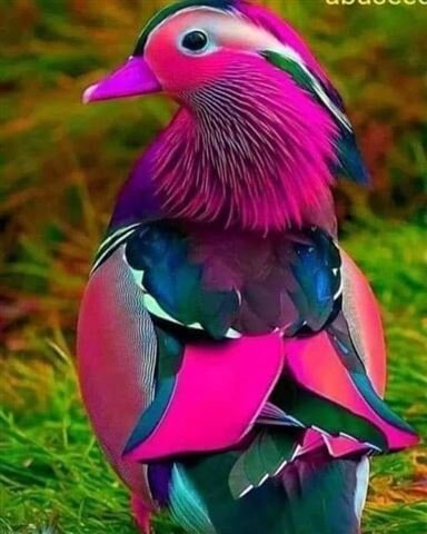 ps_bird-4651.jpg