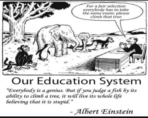 art.memes__Einstein on Education.jpg