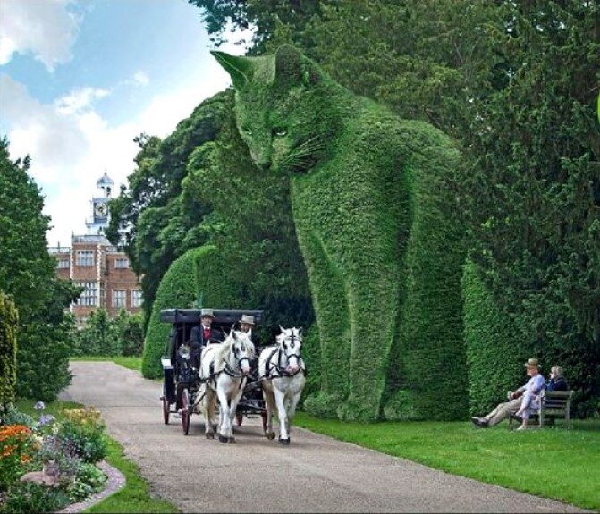 1-Topiary-Cat.jpg 1-Topiary-Cat.jpg