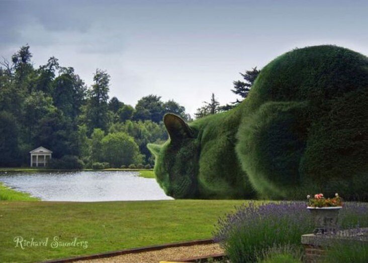 4-Topiary-Cat.jpg 4-Topiary-Cat.jpg