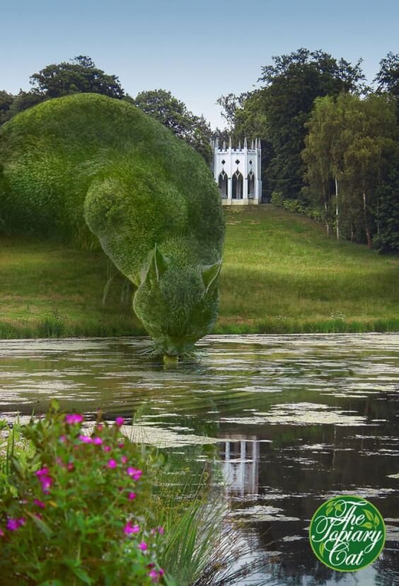 5-Topiary-Cat.jpg 5-Topiary-Cat.jpg