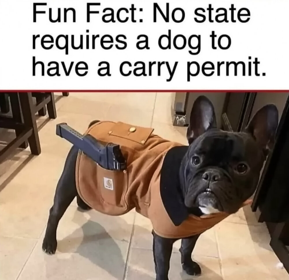 SimonM_8125_fact.jpg