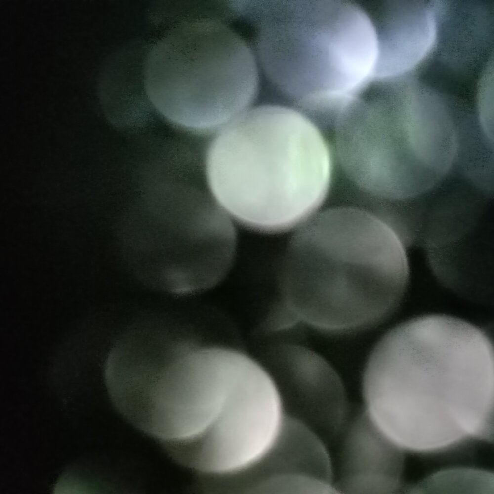 20230523_114947.jpg