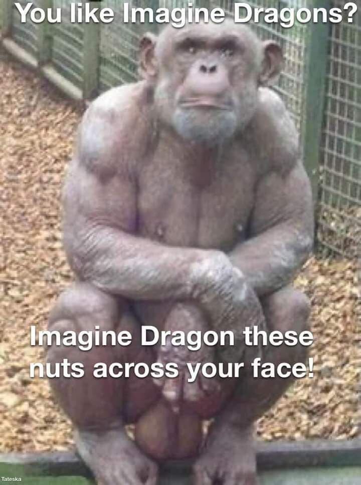 1000001896.jpg