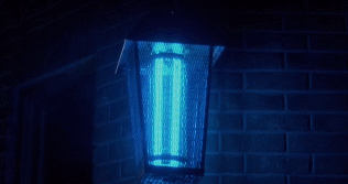 1711968369151.gif