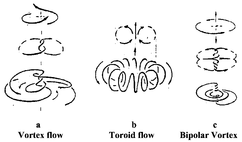 flows-vortex_toroid_bipolar.png