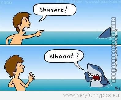 funny-picture-shark.jpg