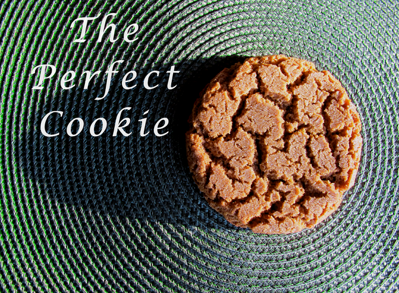 PerfectCookie-V01a.png