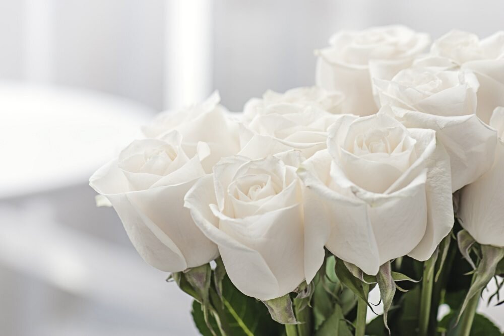 White-Roses-4090648245.jpg