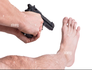 1732124895475.png