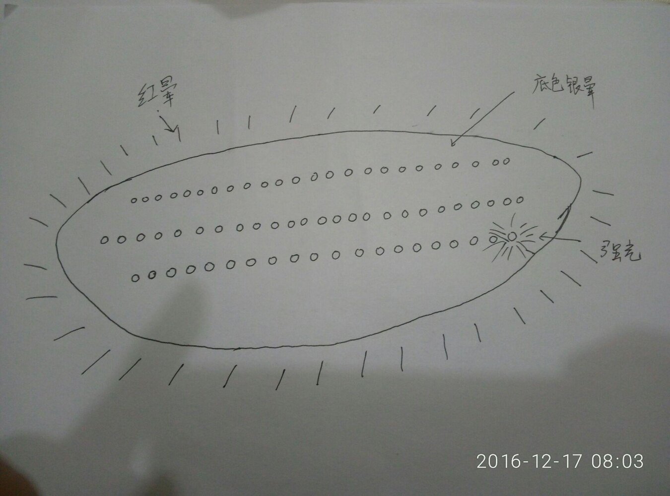 1738214770703.jpeg