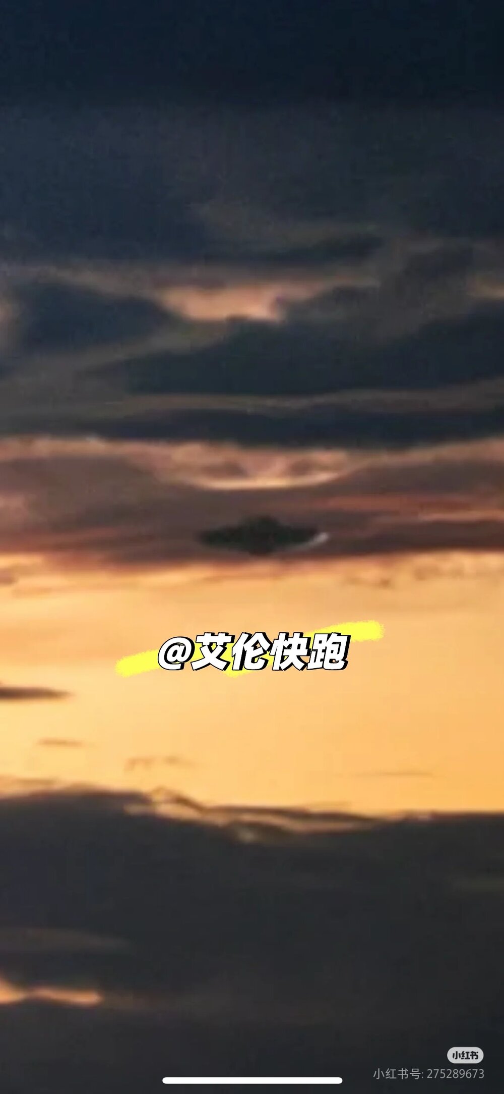 Camera_XHS_17384942943271040g2sg317c6h7e70s204a4qib1d7f1avqgms2o.jpg