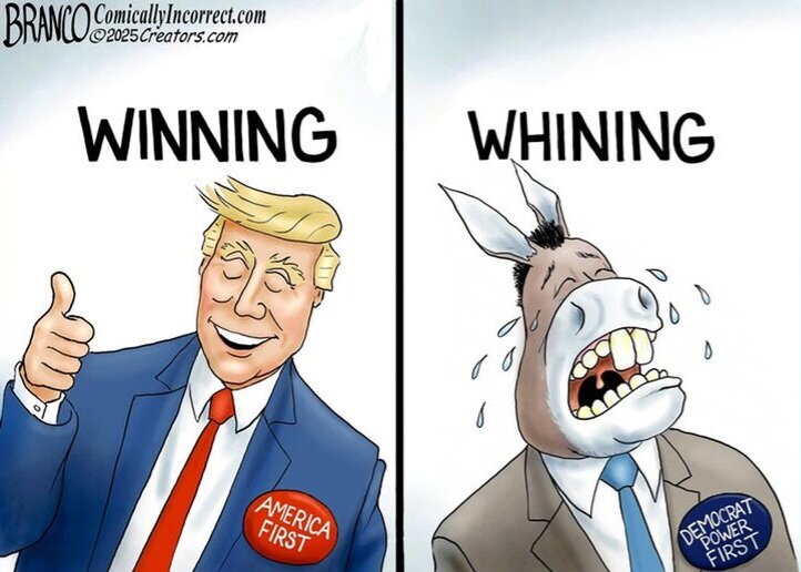 cartoon021725.jpg