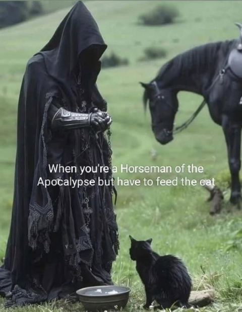 1753107046922.png
